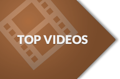 Top Videos